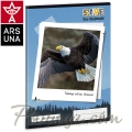 2018 Ars Una Тетрадка А5 Eagle 93628266 2018 Ars Una Тетрадка А5 Eagle 93628266